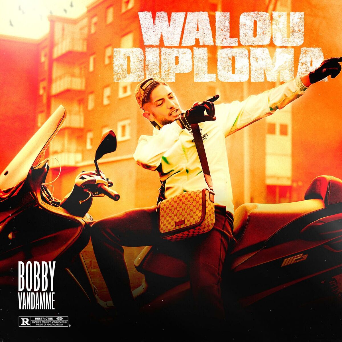 Album cover of Walou Diploma