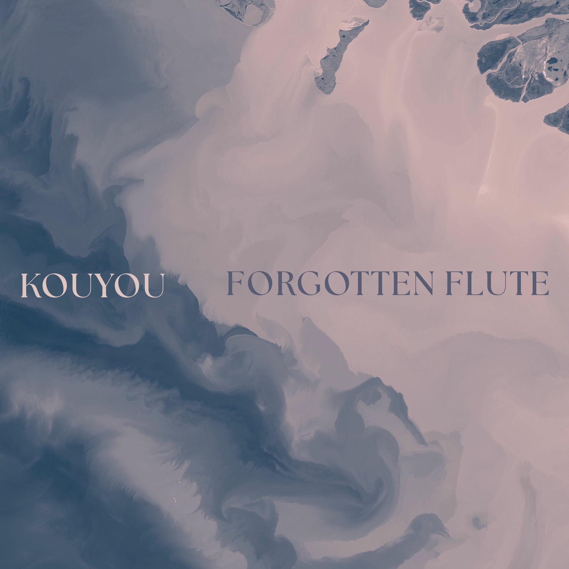 Album cover of Forgotten Flute