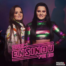 Cover of Quem Ensinou Fui Eu