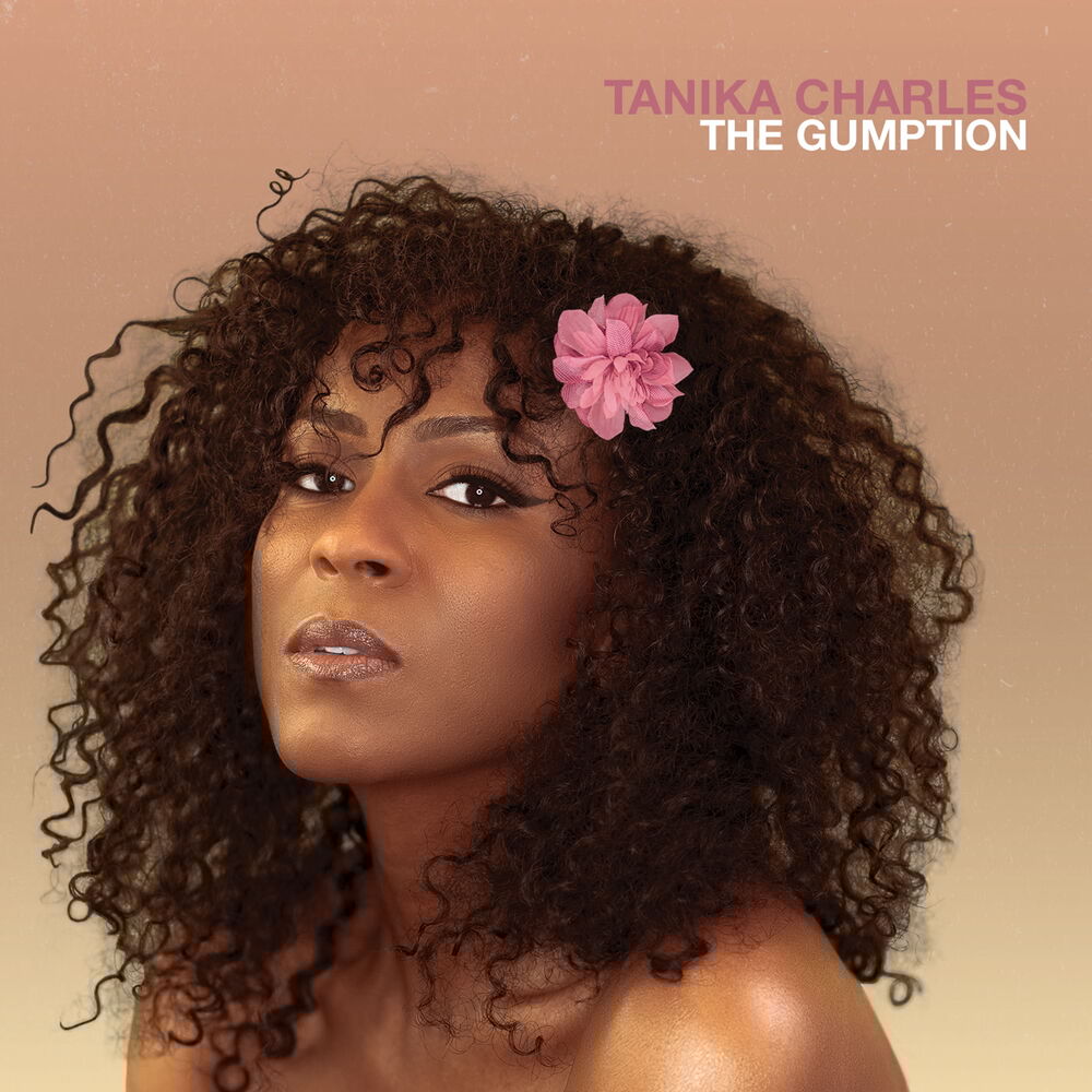 Picture of The Gumption
