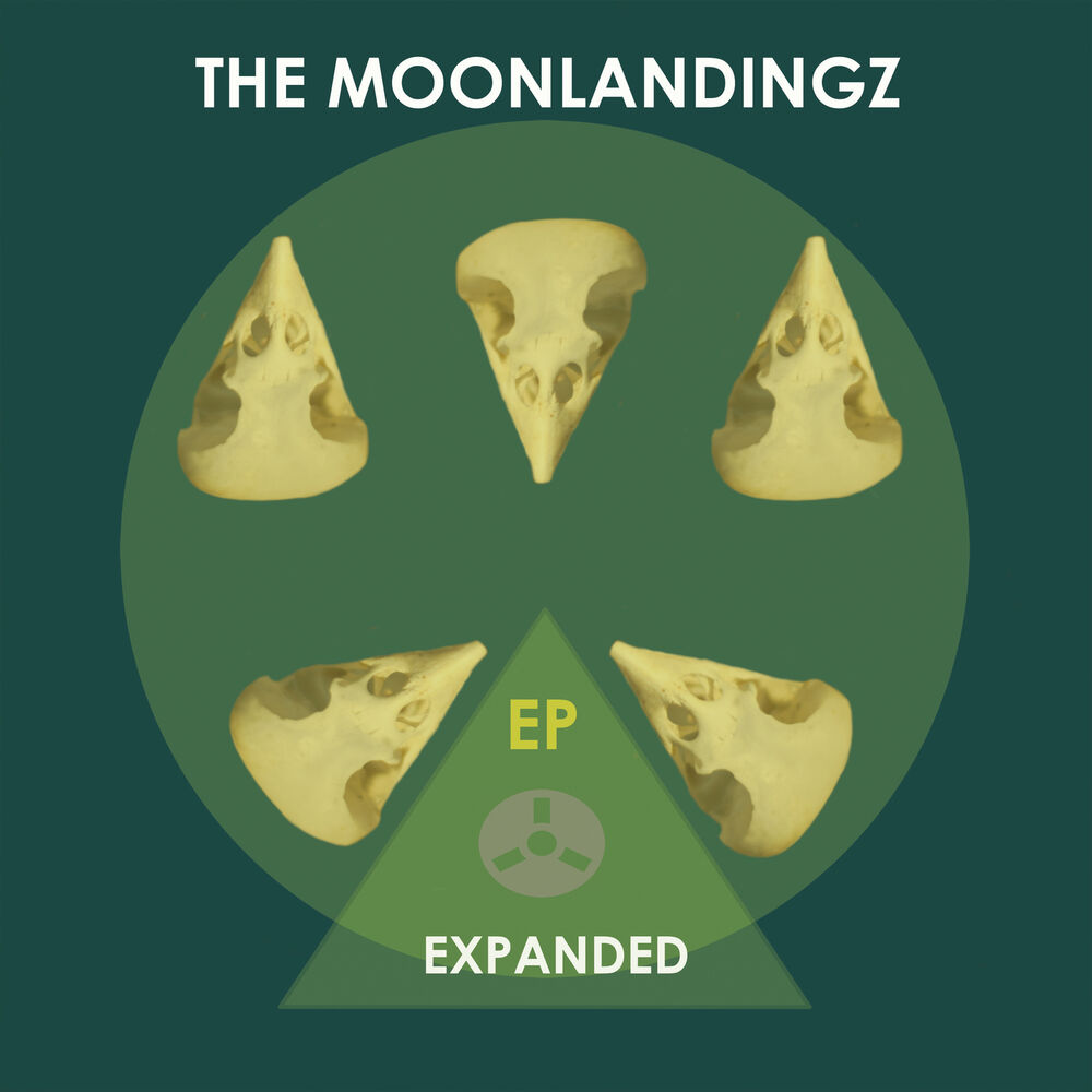 Picture of Expanded