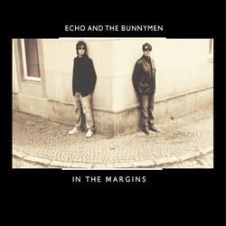 Cover of In the Margins