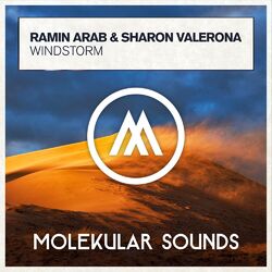 Cover of Windstorm