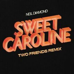Cover of Sweet Caroline (Two Friends Remix)