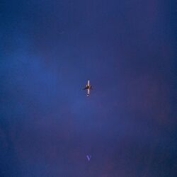 Cover of Conscious