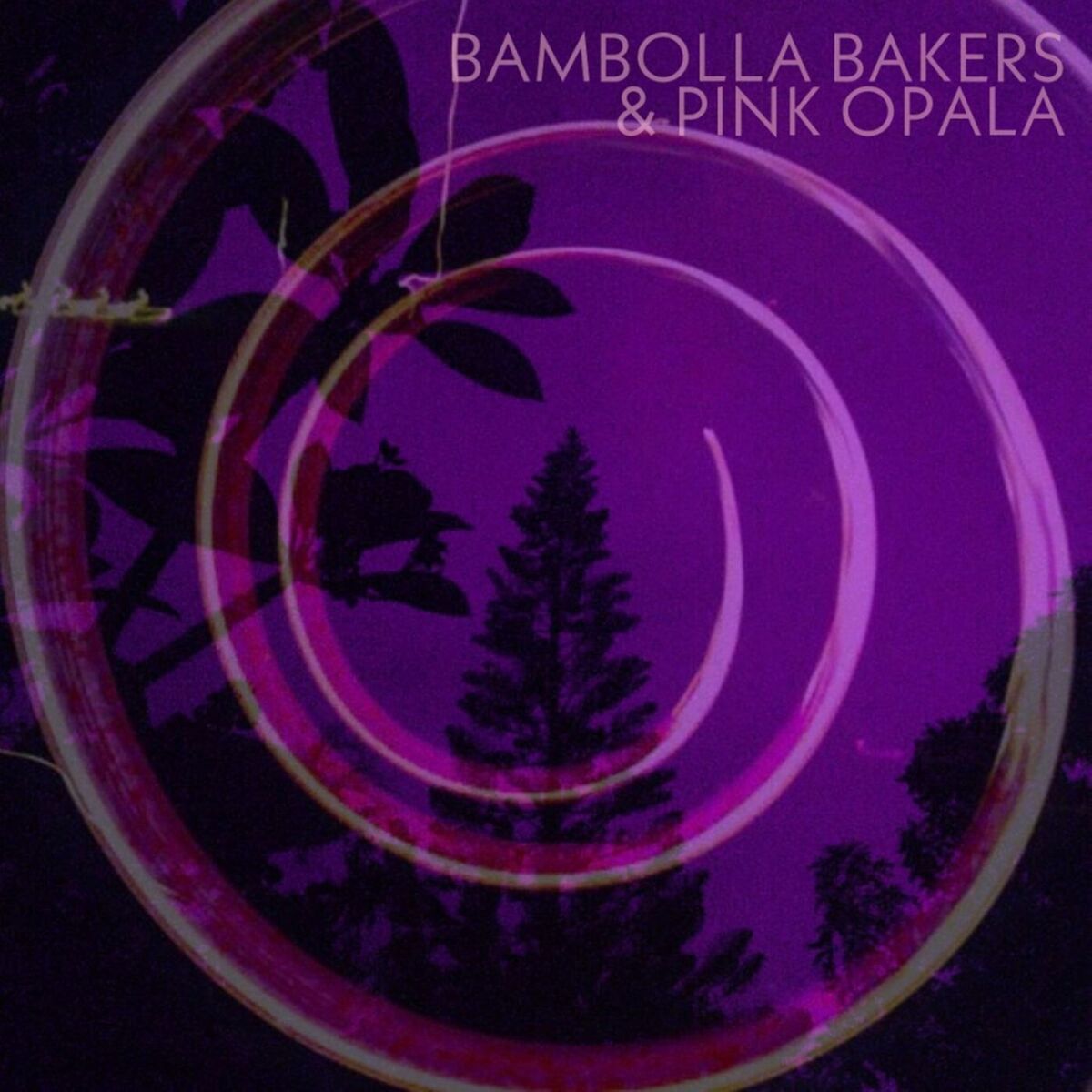 Album cover of Arrepio