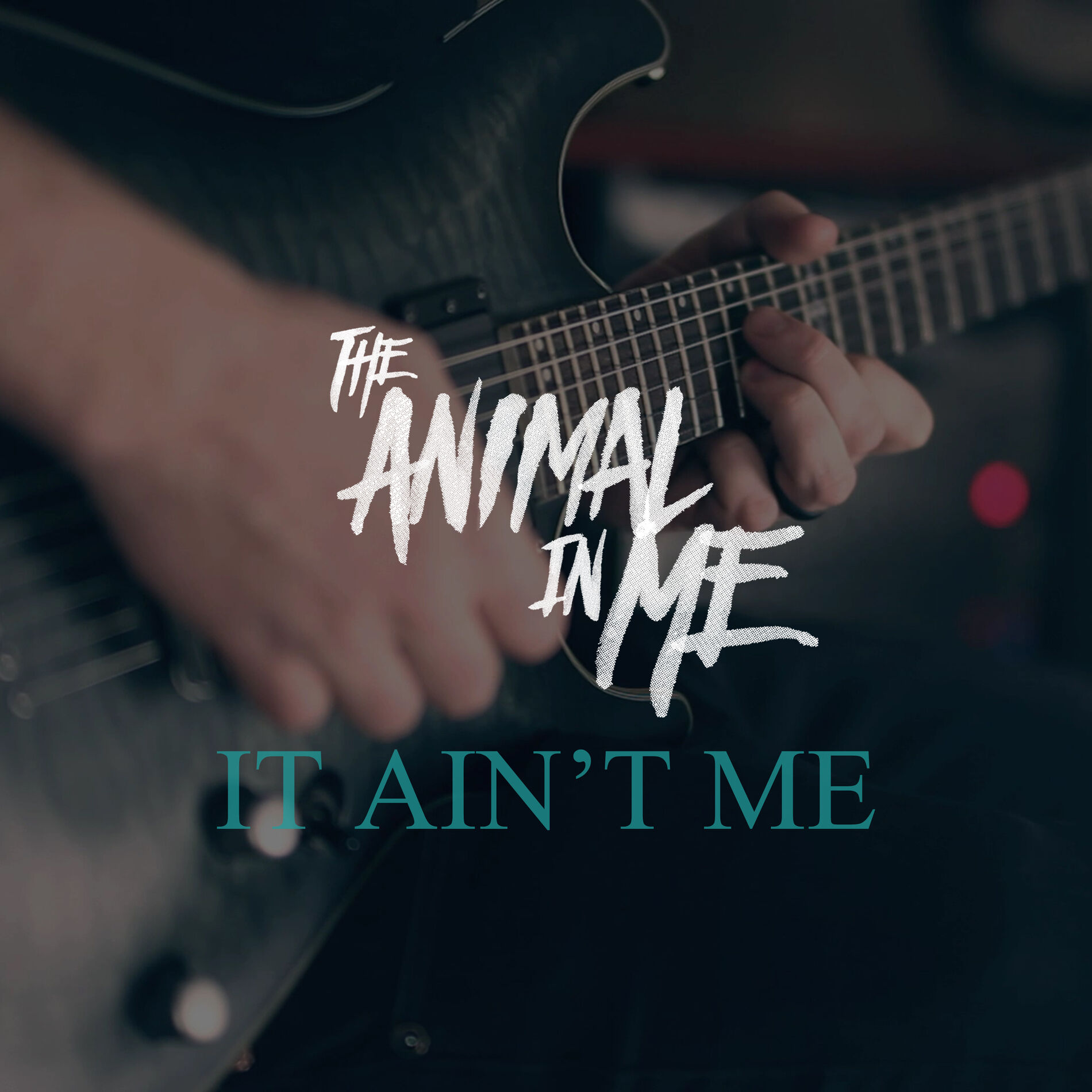 Album cover of It Ain't Me
