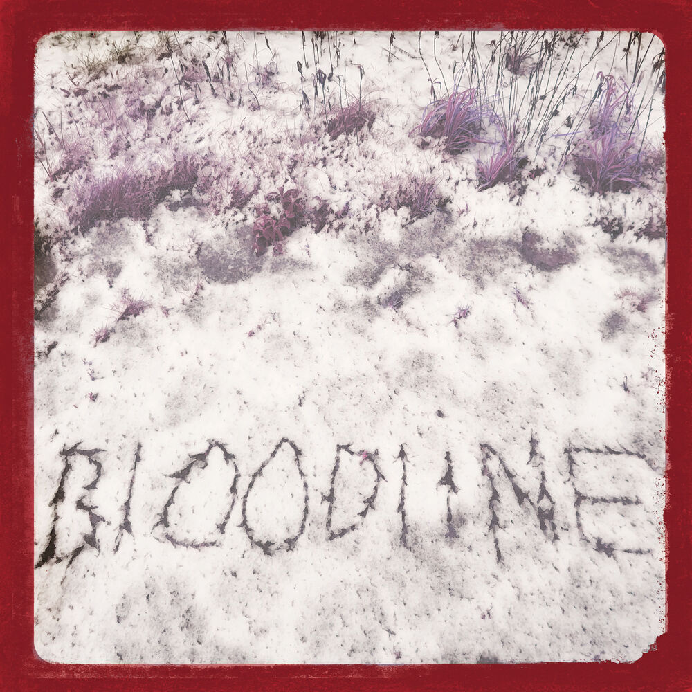 Picture of Bloodline