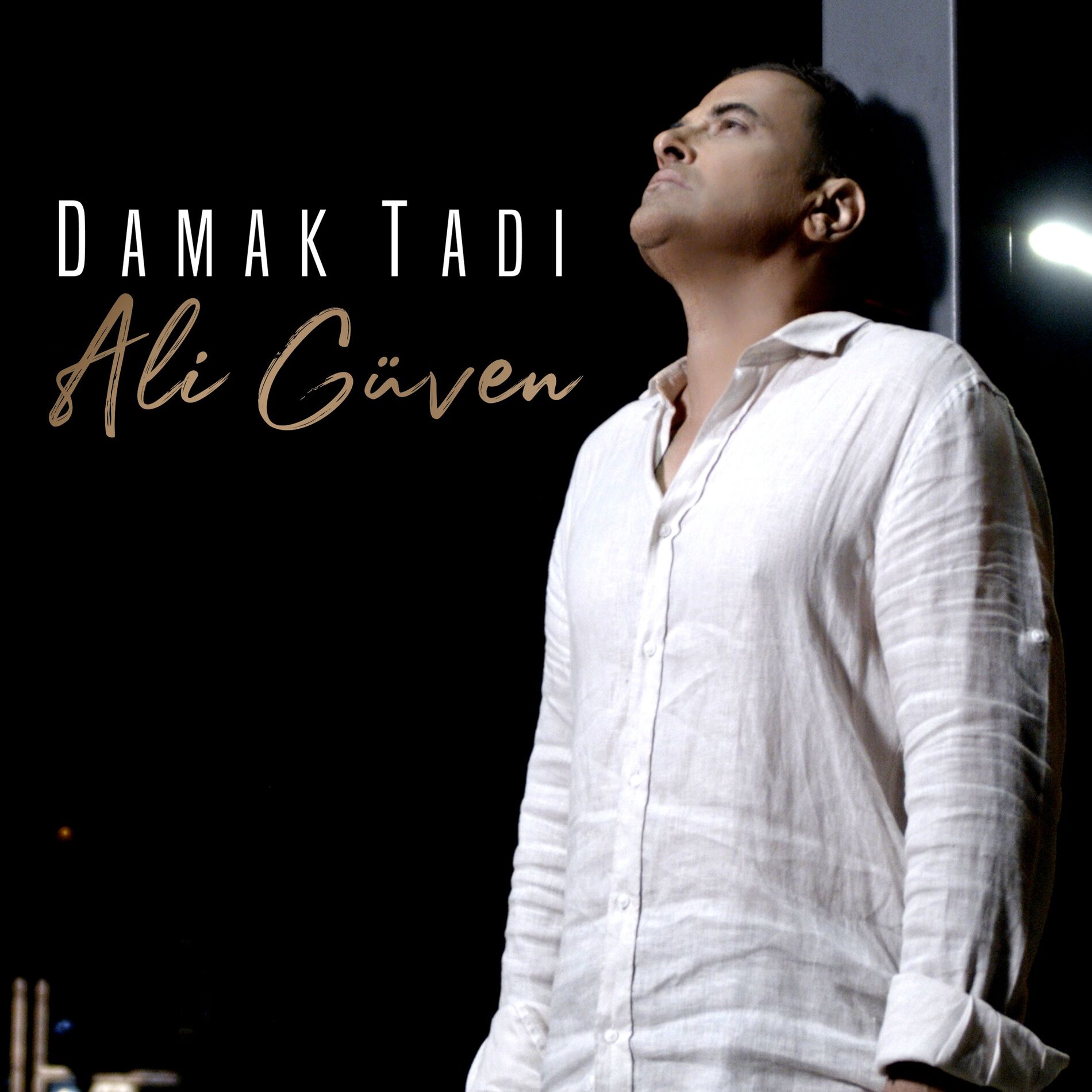 Album cover of Damak Tadı