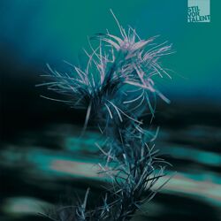 Cover of Forest Mystery