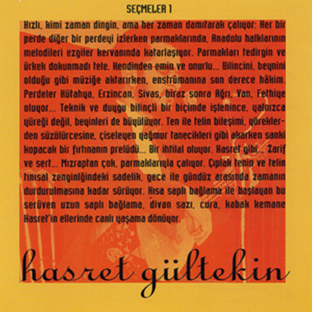 Picture of Seçmeler