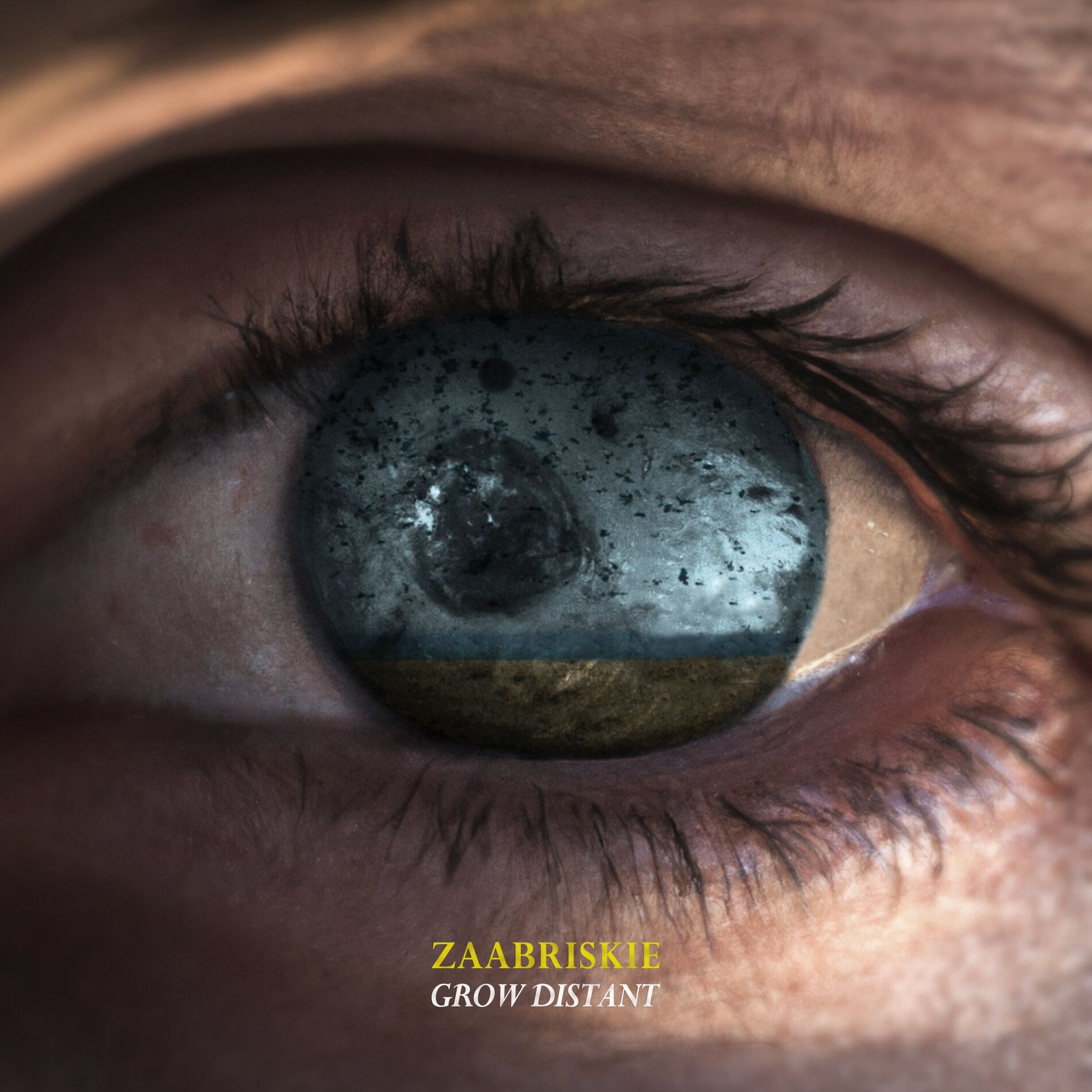 Album cover of Grow Distant