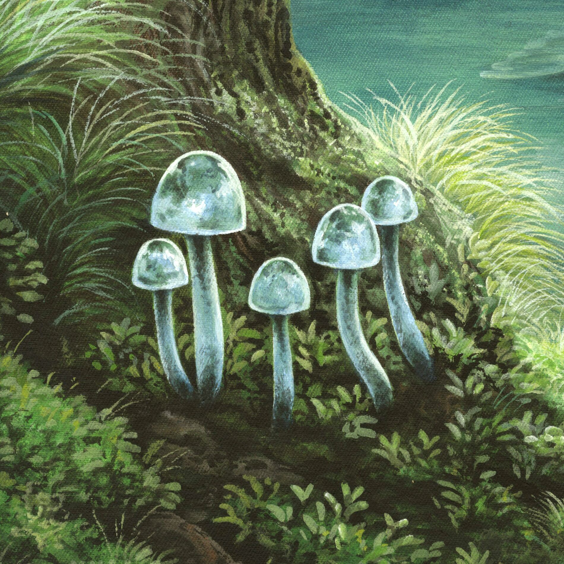 Album cover of Fungii