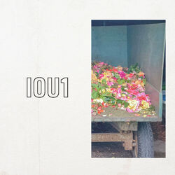 Cover of I O U 1