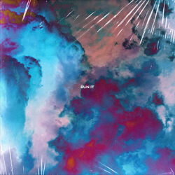 Cover of Run It