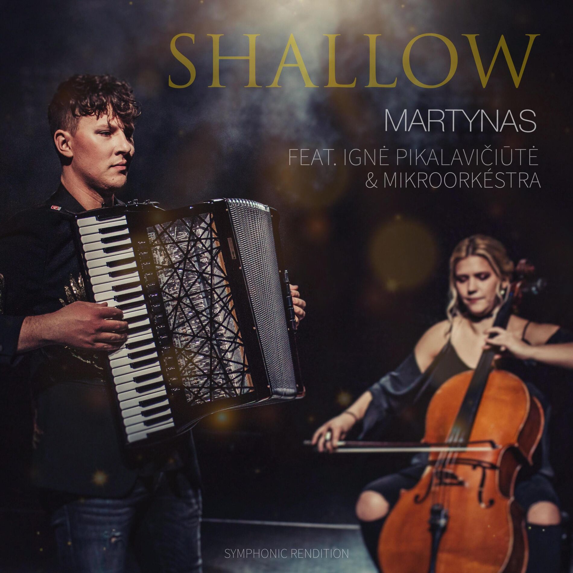 Album cover of Shallow (feat. Ignė Pikalavičiūtė & Mikroorkéstra) [Symphonic Rendition]