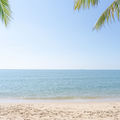 Calm Music to Listen to by the Sea