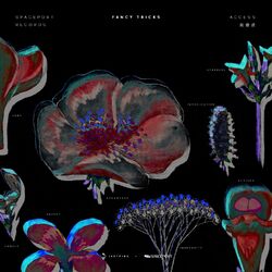 Cover of Fancy Tricks