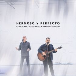 Cover of Hermoso y Perfecto (En Vivo)