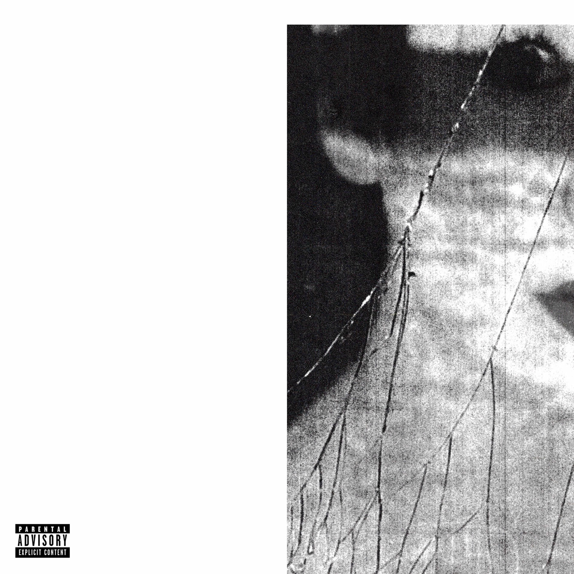 Album cover of There and Back Again
