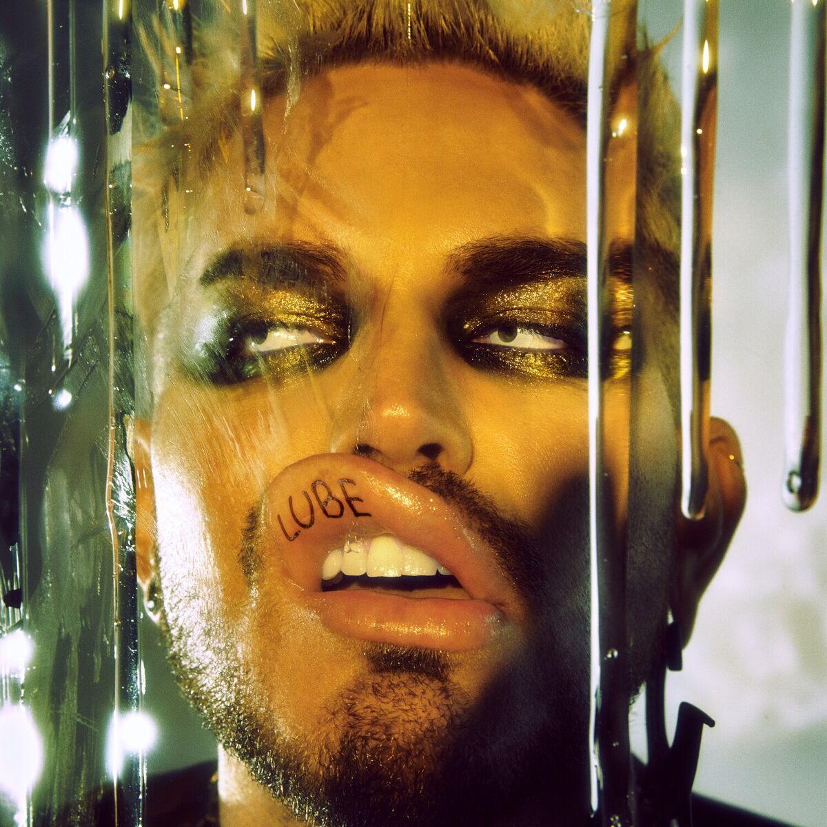 Album cover of WET DREAM