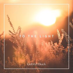 Cover of To The Light