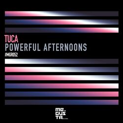 Cover of Powerful Afternoons