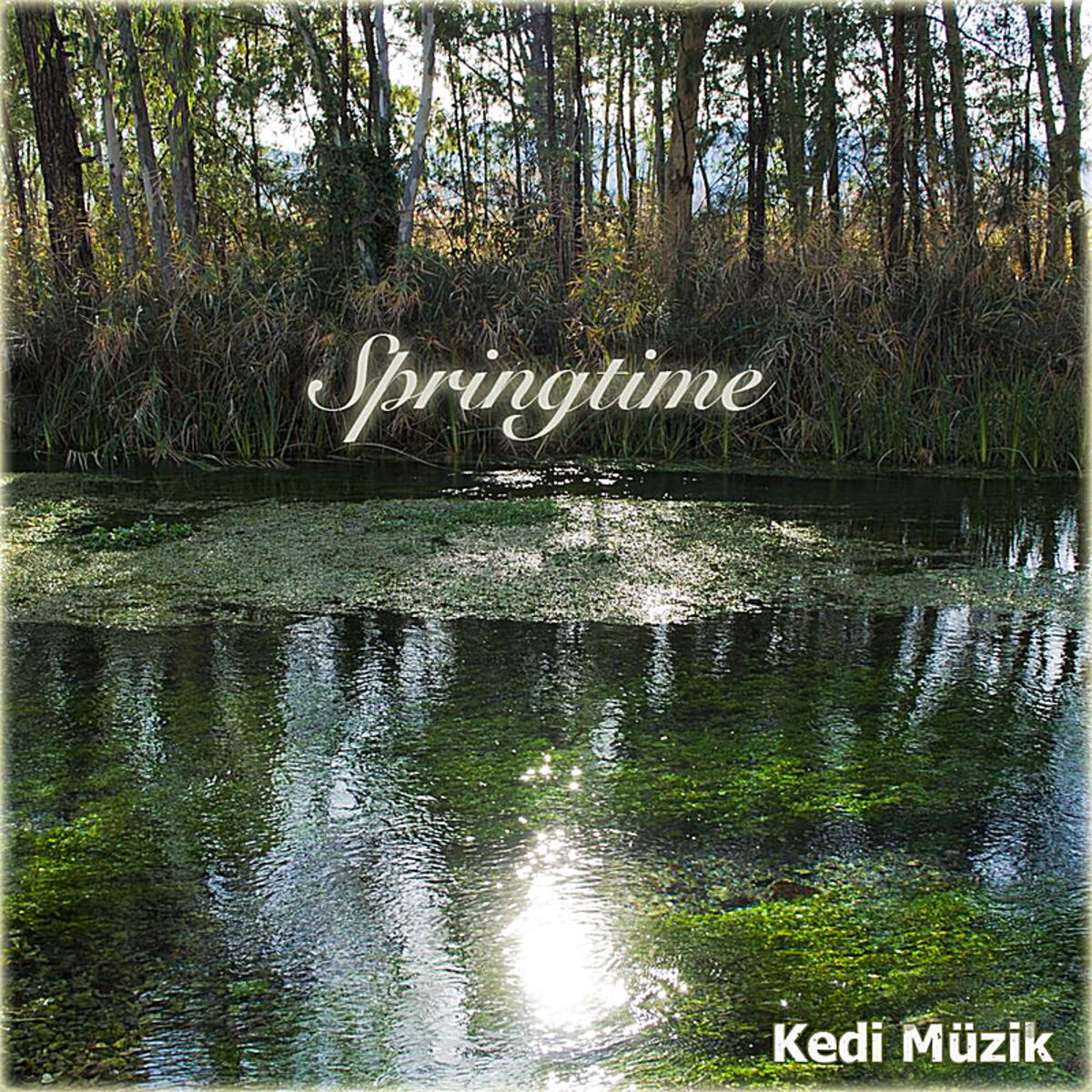 Album cover of Springtime - Single