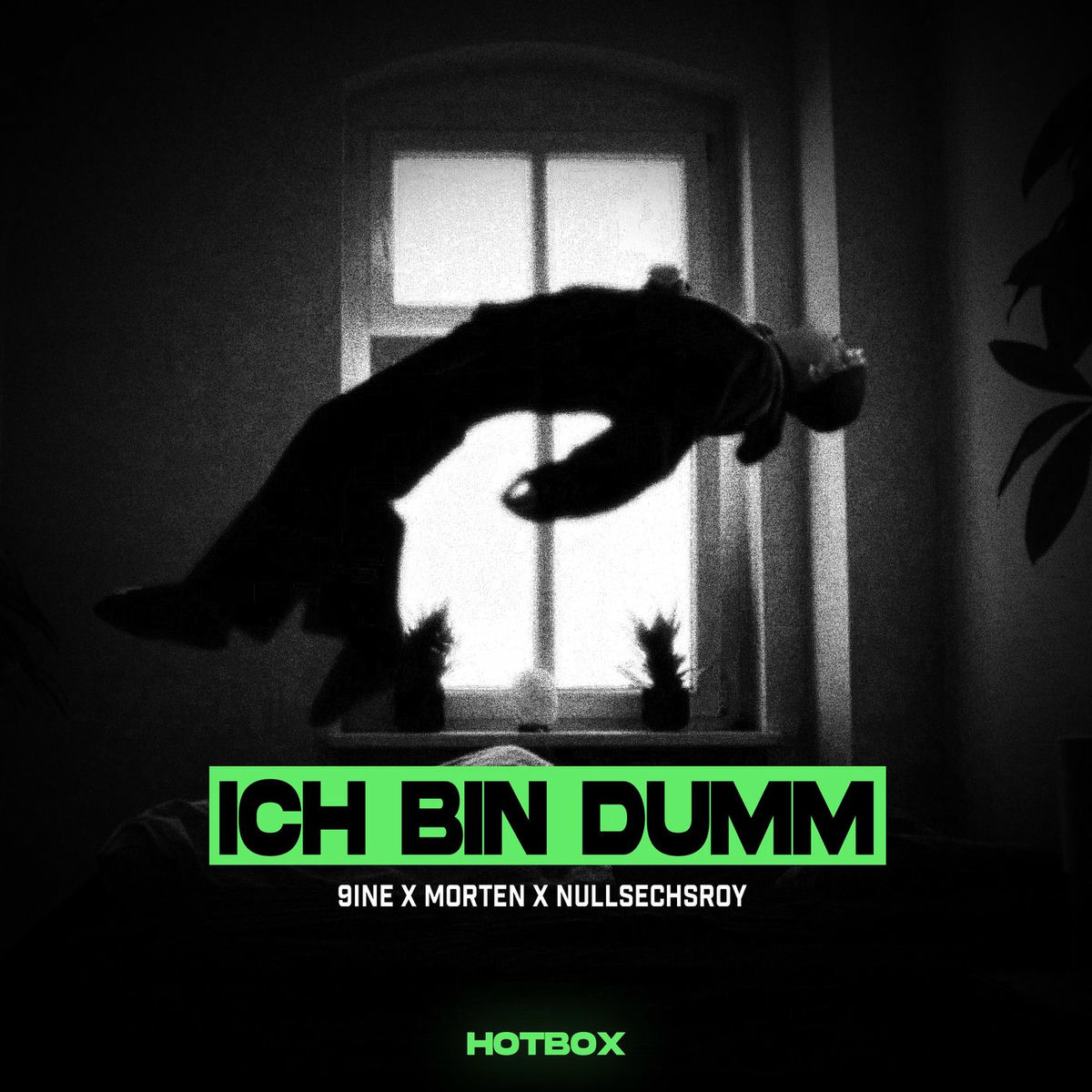 Album cover of ICH BIN DUMM