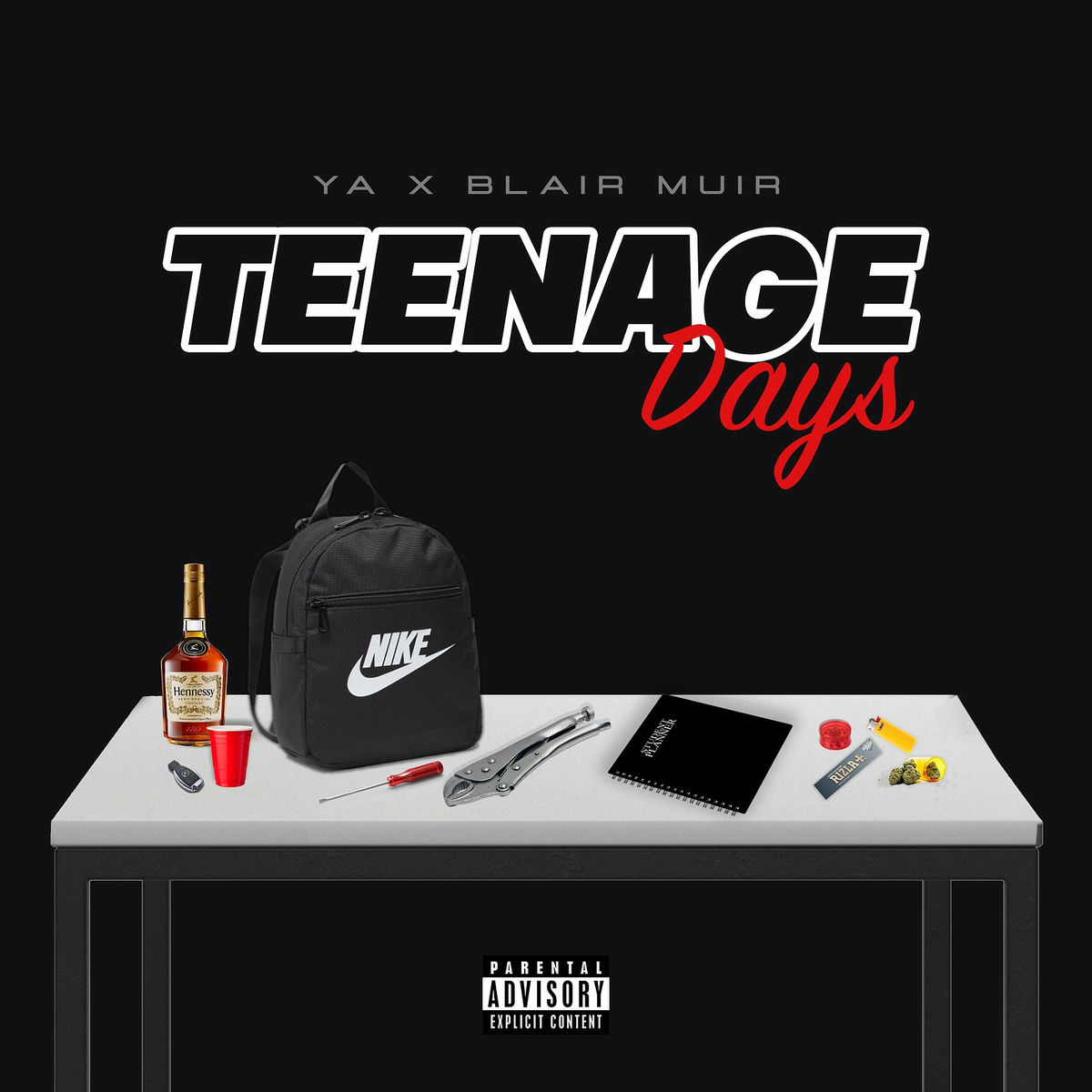 Album cover of Teenage Days