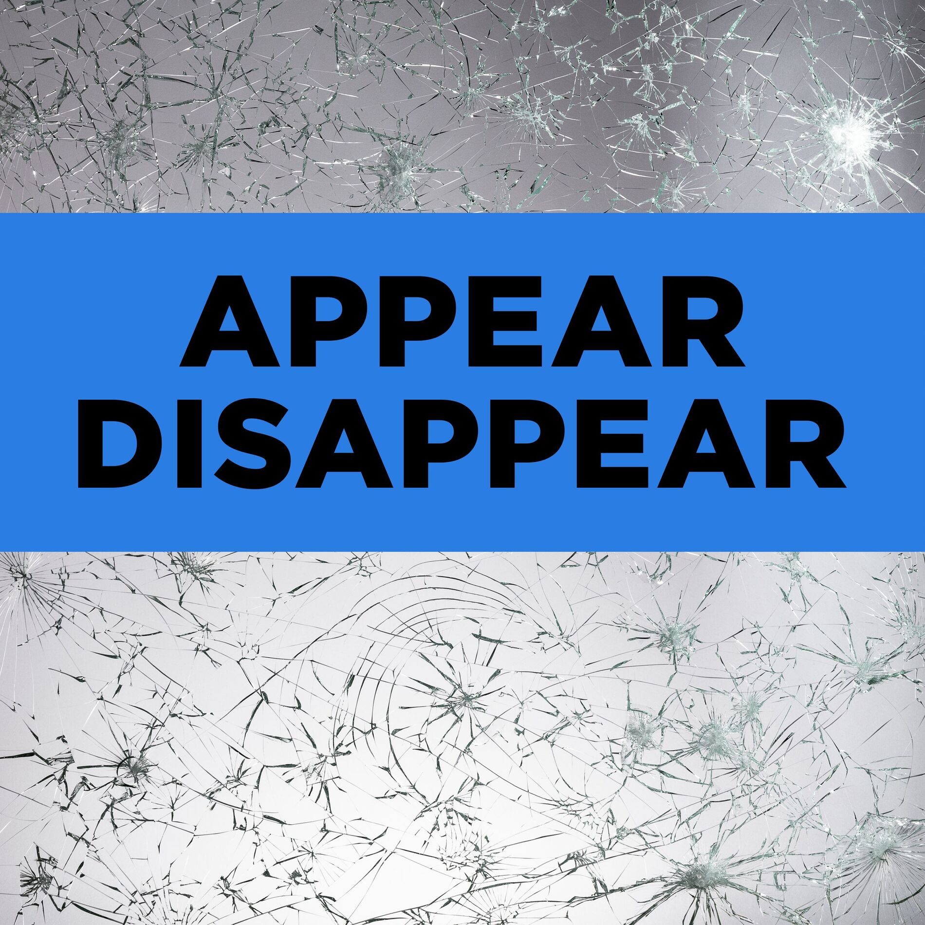 Album cover of Appear Disappear