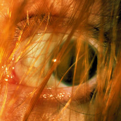 L'AVANT-DERNIER JOUR