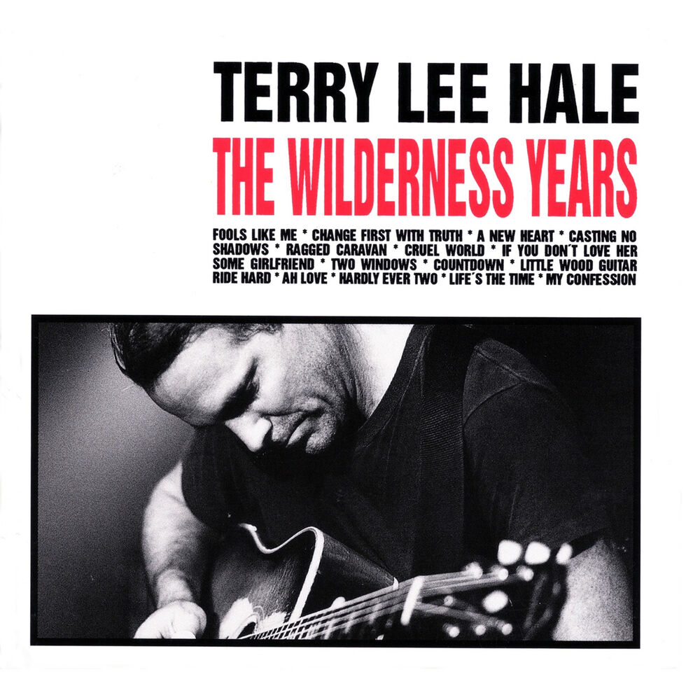 Picture of The Wilderness Years