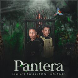 Cover of Pantera