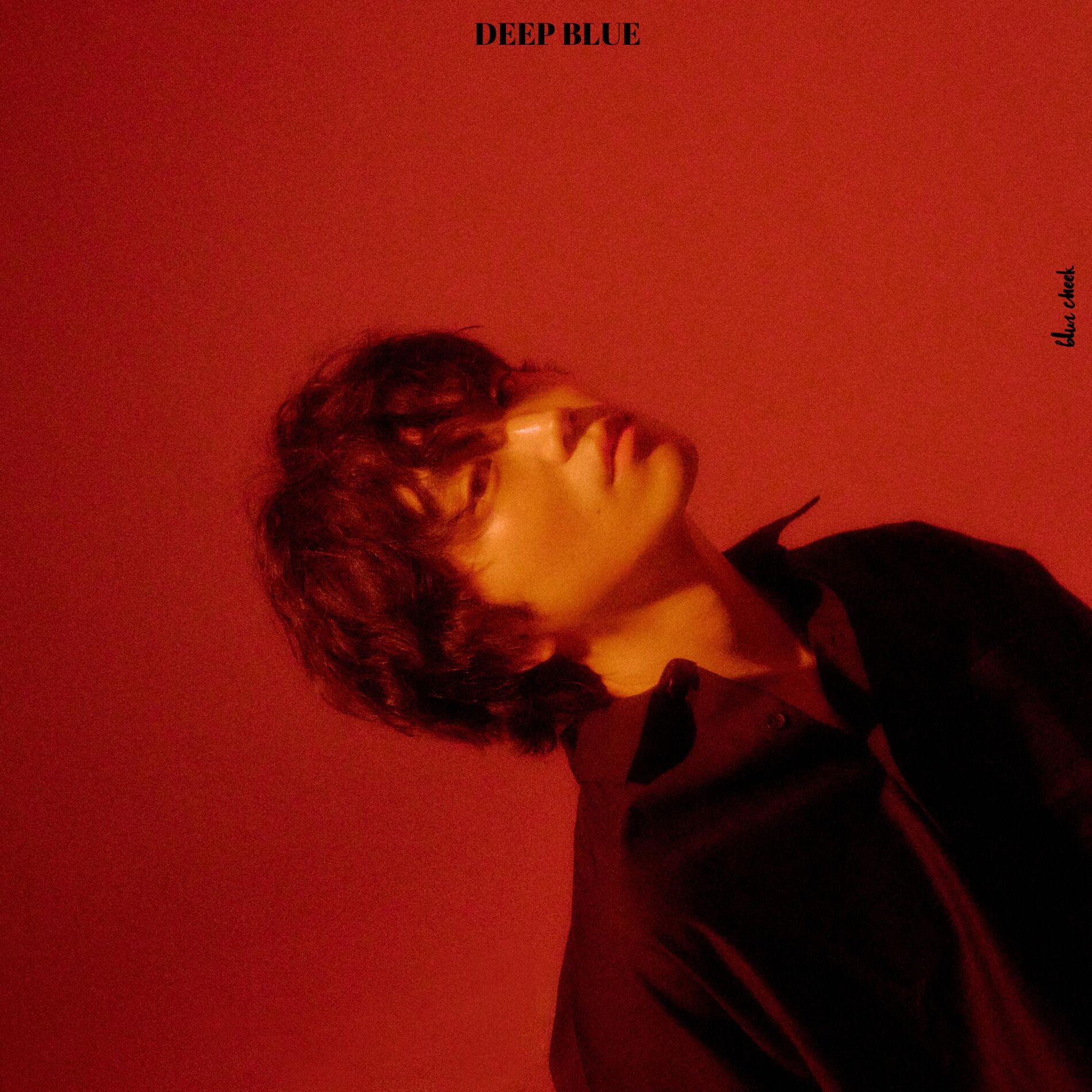 Album cover of Blur Cheek