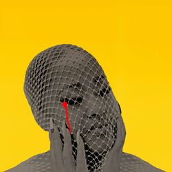 Cover of Please Don't Cry