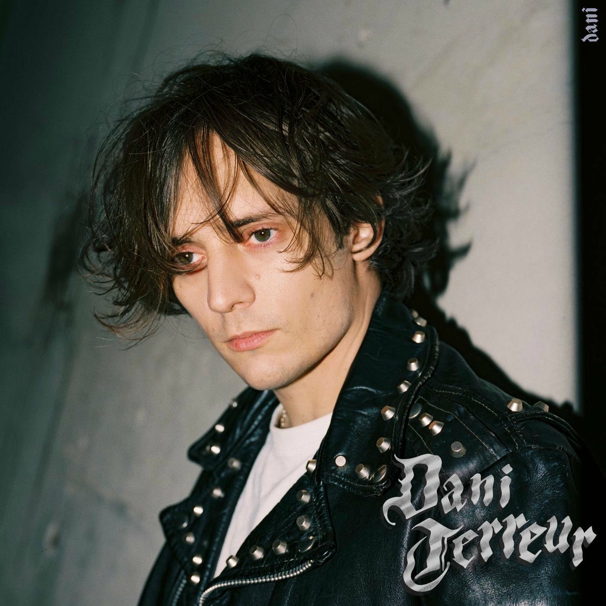 Album cover of dani