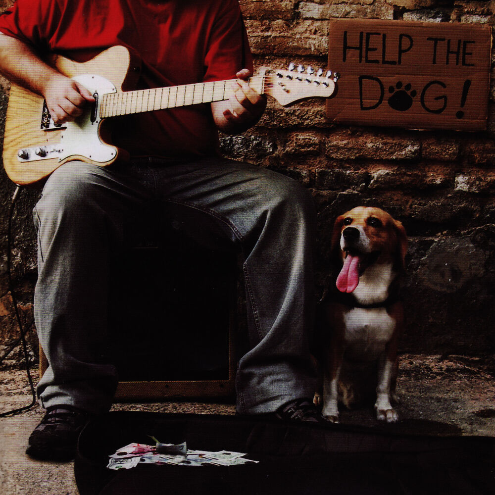 Picture of Help the dog!