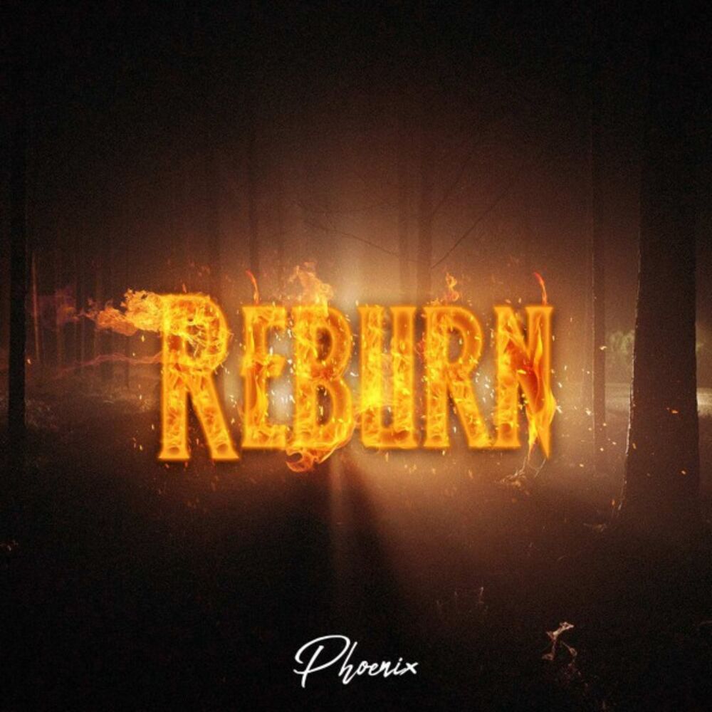 Picture of Reburn