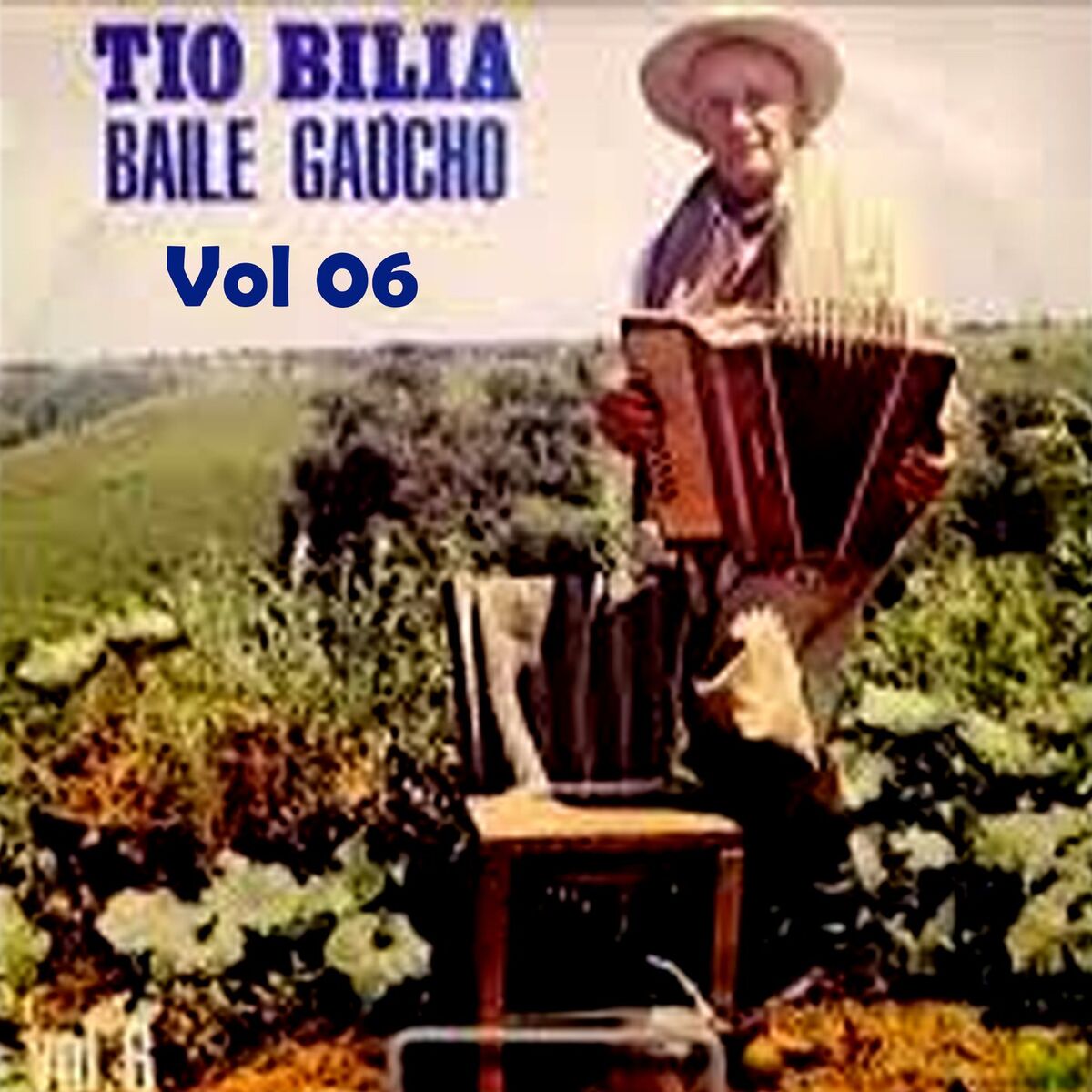 Album cover of TIO BILIA - BAILE GAÚCHO VOL 6