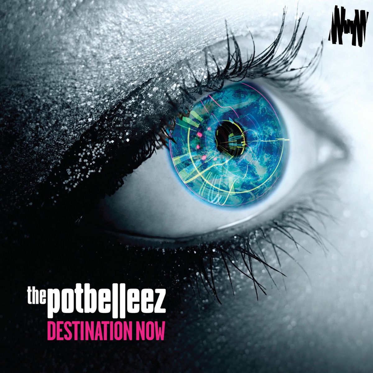 Album cover of From the Music