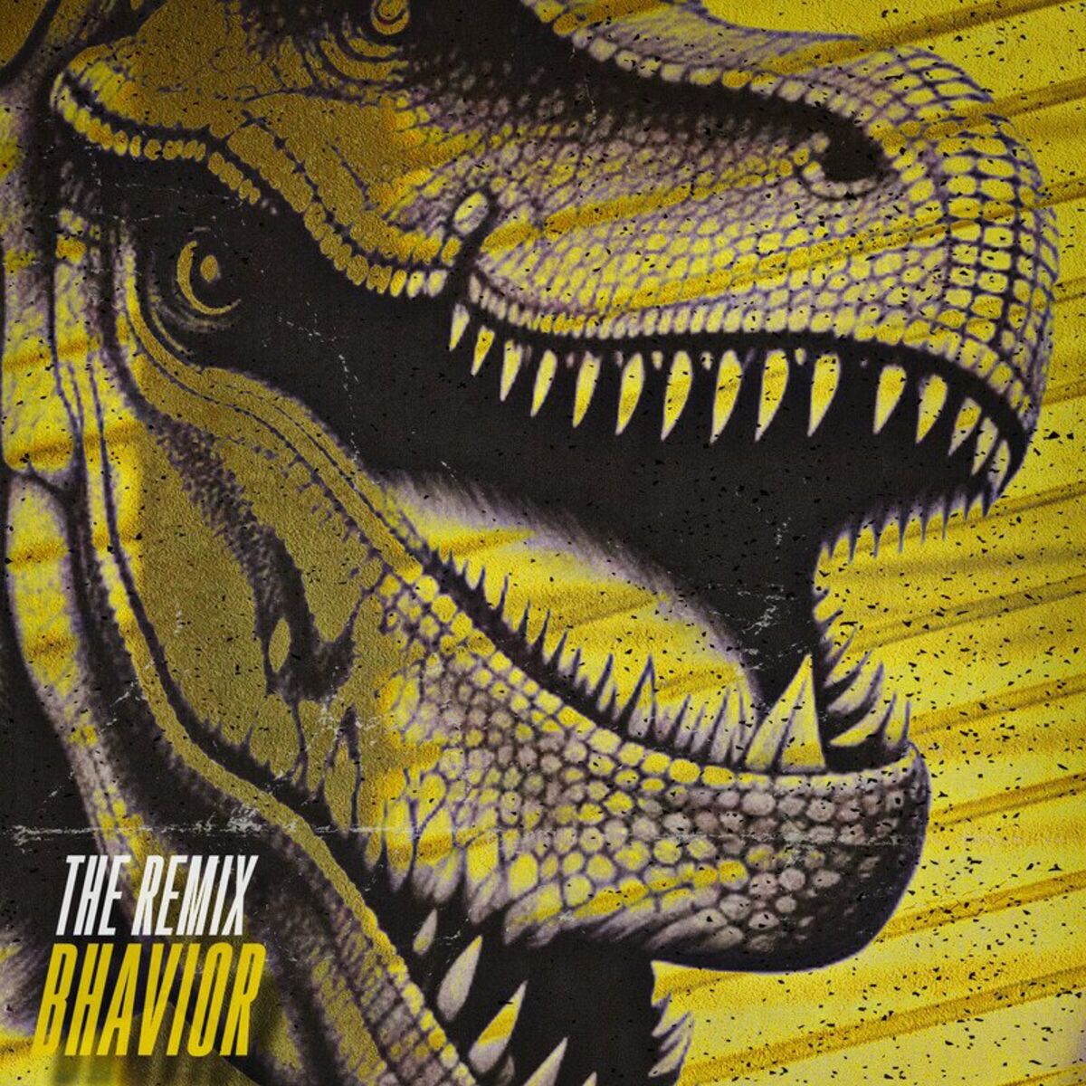 Album cover of The Remix