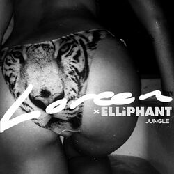 Cover of Jungle