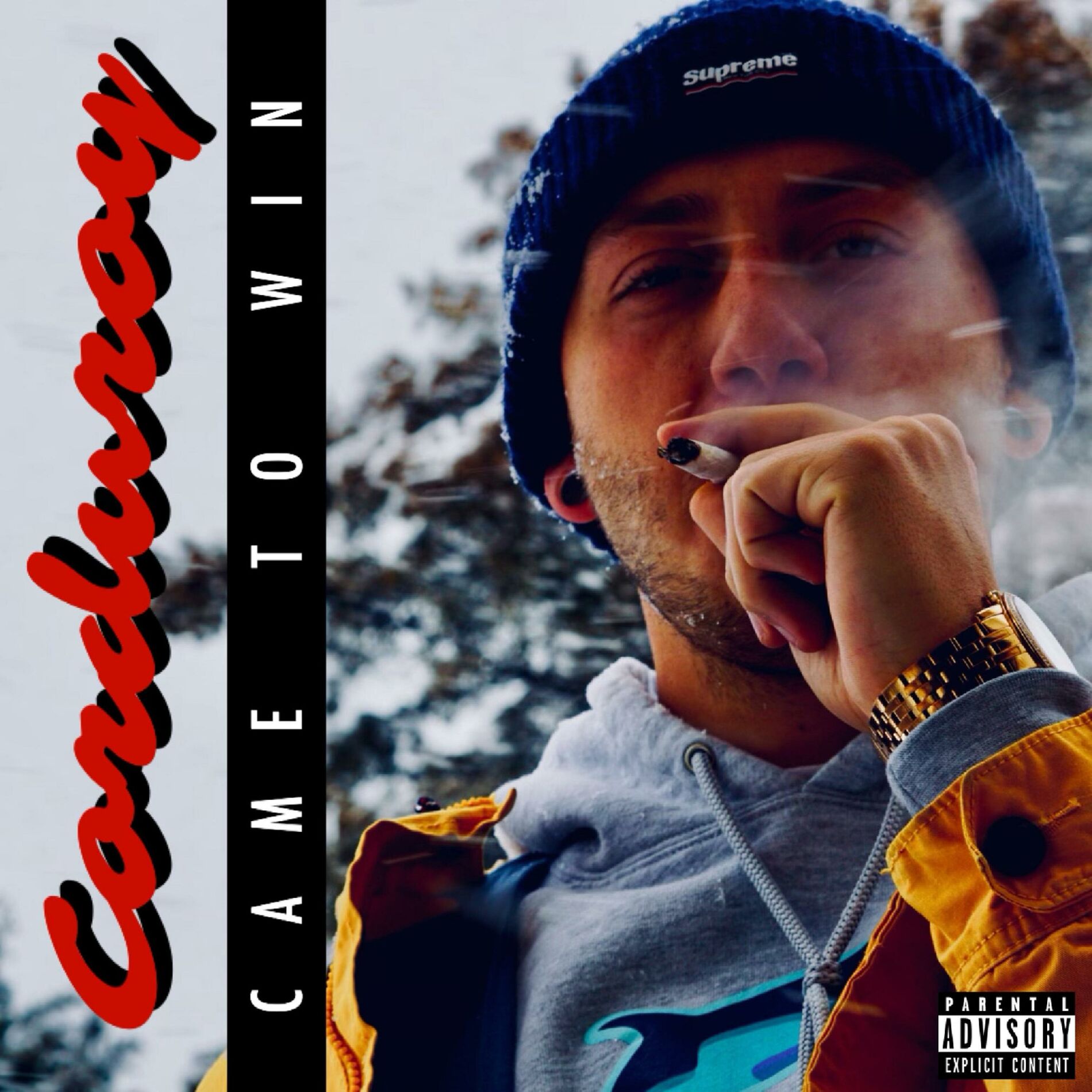 Album cover of Came To Win