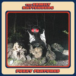 Cover of Fuzzy Features