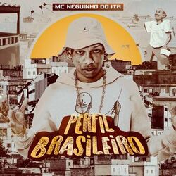 Cover of Perfil Brasileiro