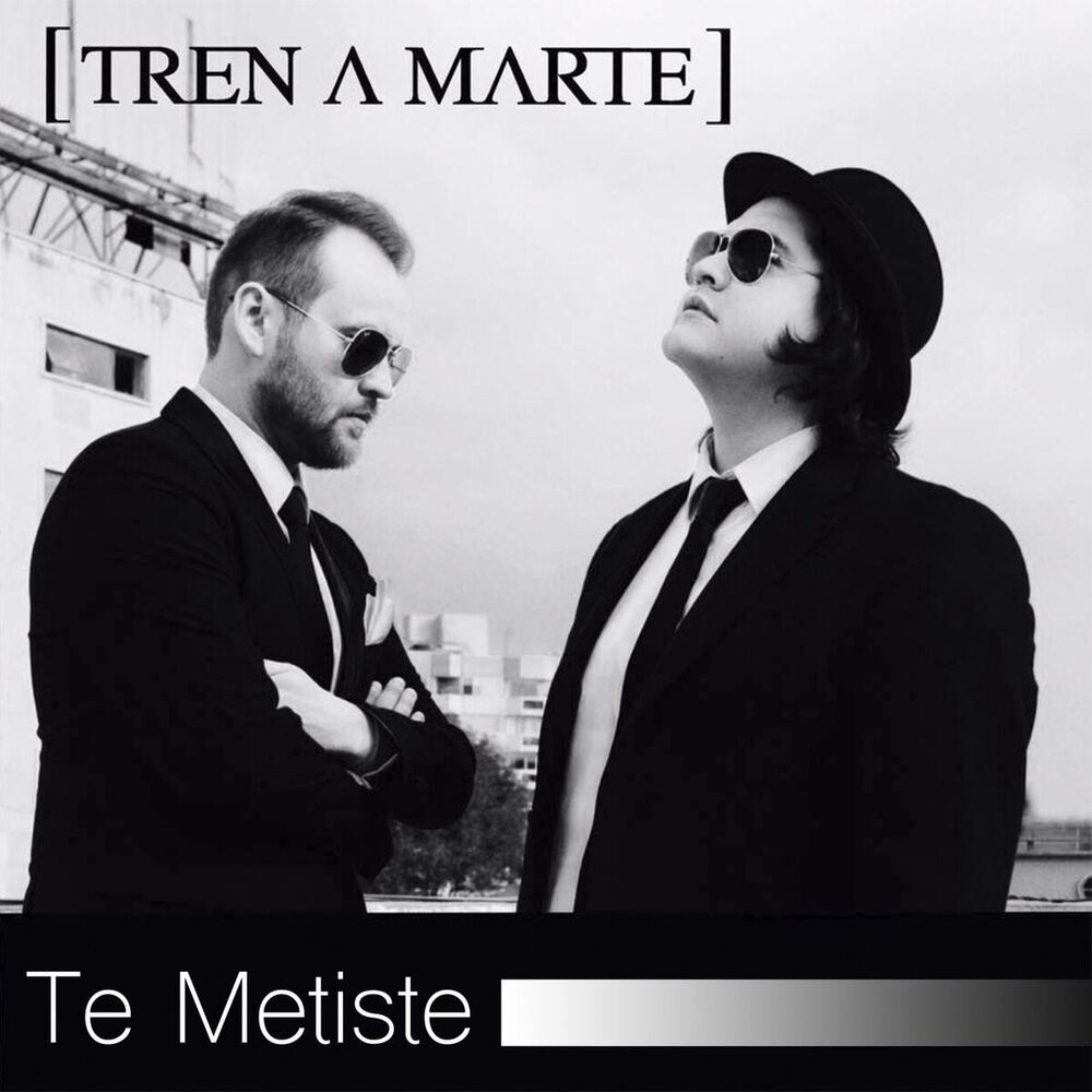 Picture of Te Metiste