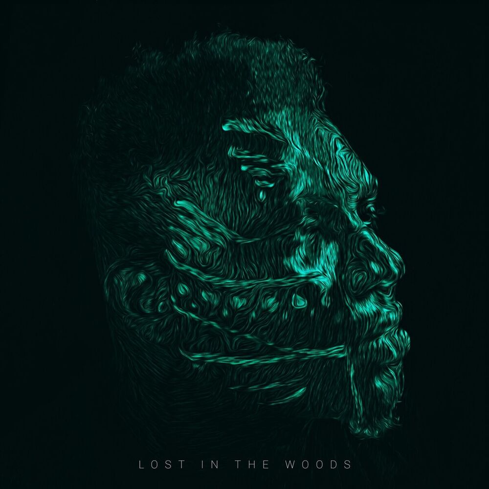 Picture of Lost in the Woods