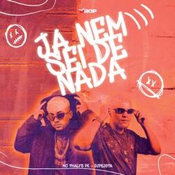 Cover of Ja Nem Sei De Nada