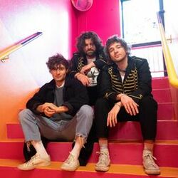 Cover of Just like Idiots